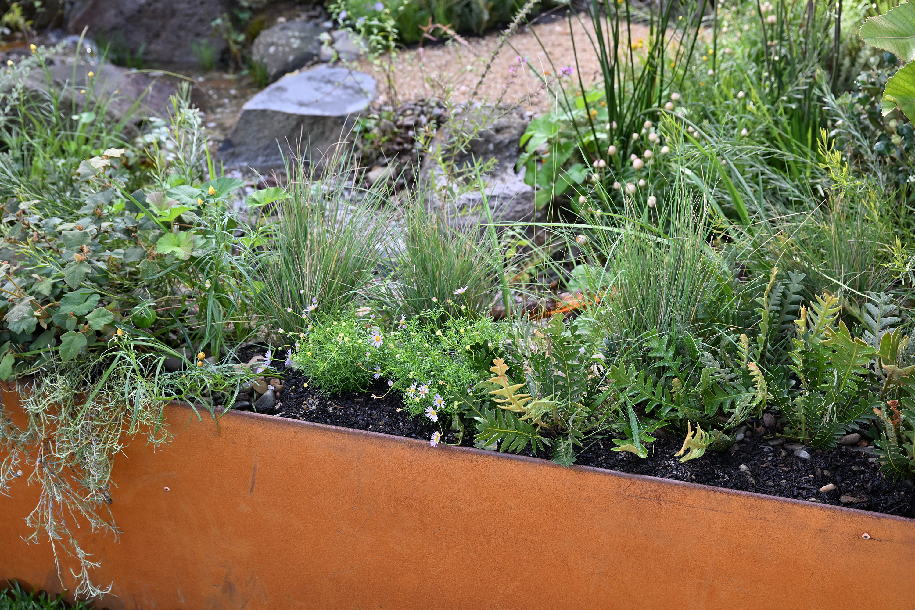 weathering steel garden edges