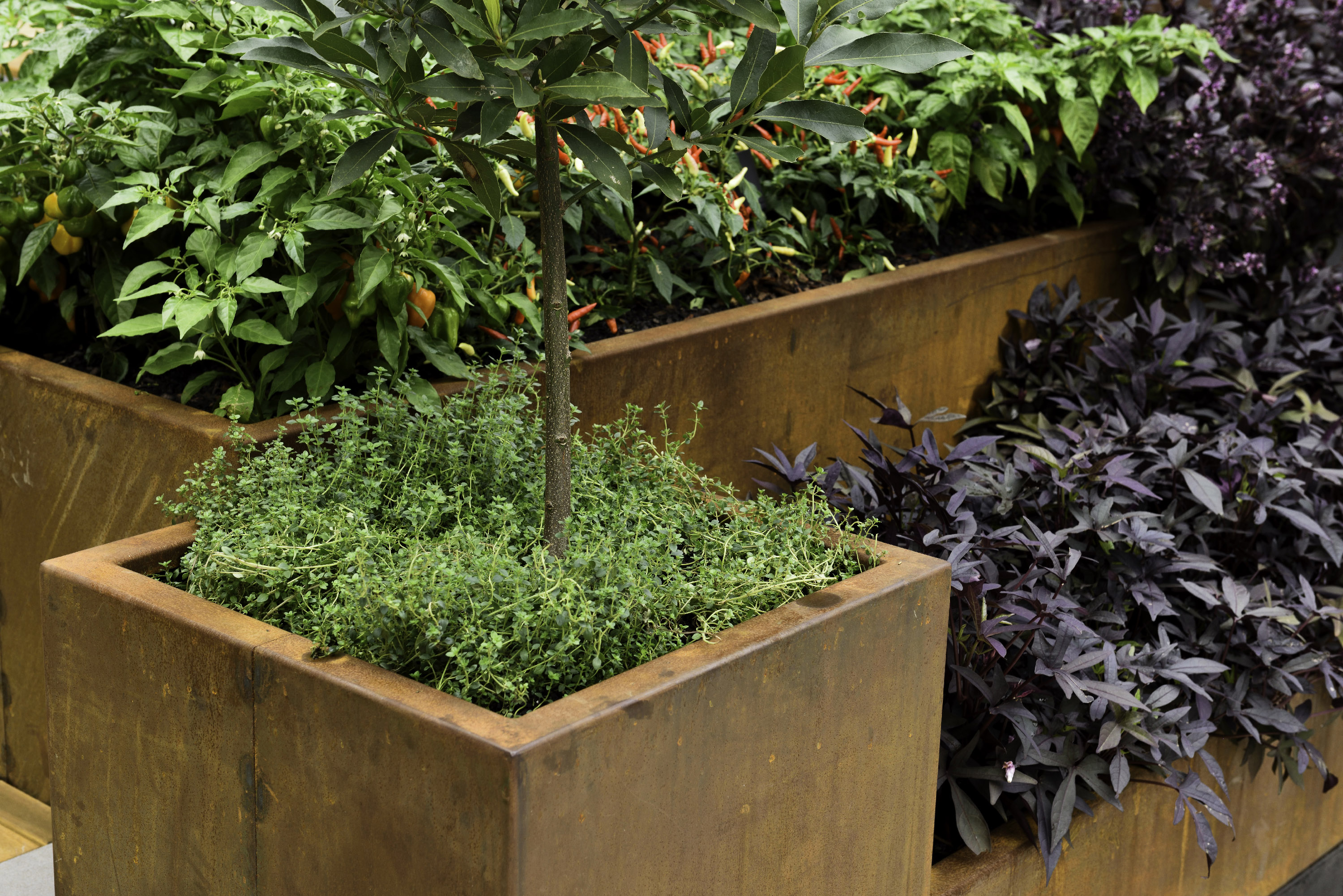 Designing Balcony Gardens with Planter Boxes